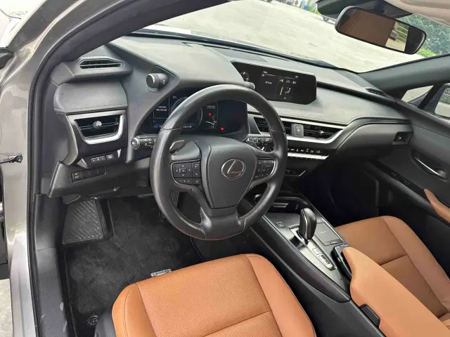 Lexus Lexus UX Electric 2020 300e Pure Yue Edition — Фото автомобиля 12