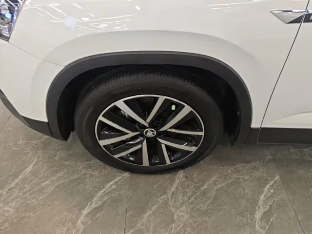 Skoda Kamiq — Фото автомобиля 22