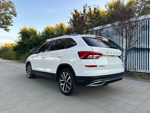 Skoda Kamiq — Фото автомобиля 8