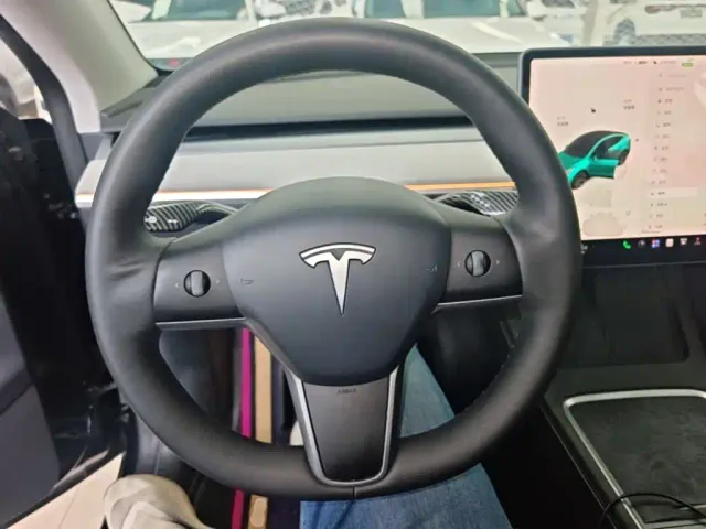 Tesla Model Y — Фото автомобиля 10