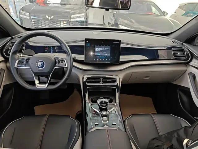 BYD Qin PLUS — Фото автомобиля 9
