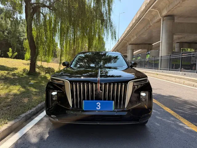 Hongqi E-HS9 — Фото автомобиля 2