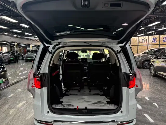 Honda Elysion — Фото автомобиля 9