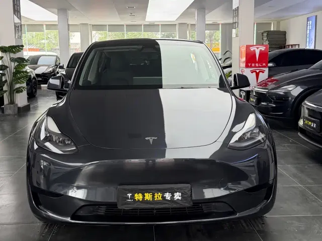 Tesla Model Y — Фото автомобиля 2