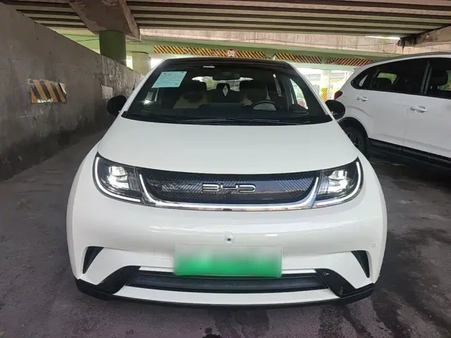 BYD Dolphin — Фото автомобиля 2