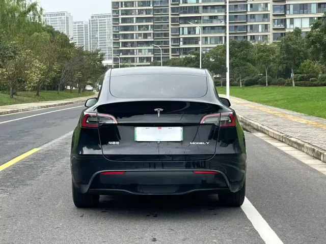 Tesla Model Y — Фото автомобиля 4