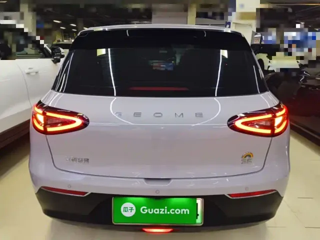 Geely Starry Wish — Фото автомобиля 5