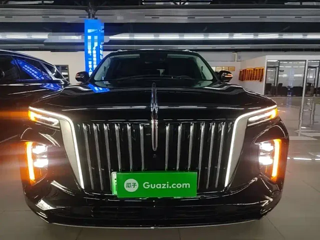 Hongqi E-HS9 — Фото автомобиля 2