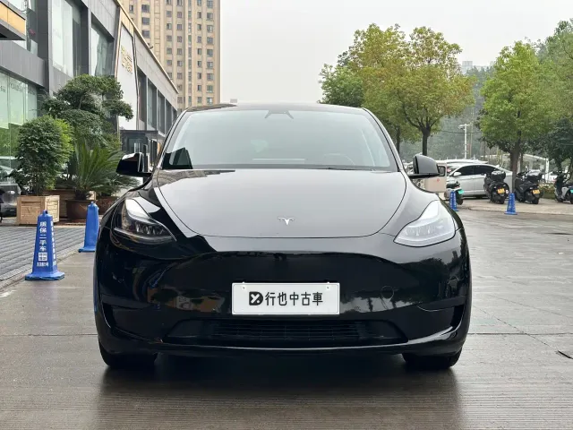 Tesla Model Y — Фото автомобиля 2