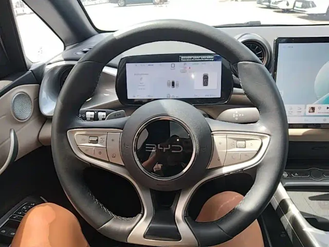 BYD Dolphin — Фото автомобиля 10