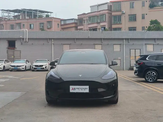 Tesla Model Y — Фото автомобиля 2