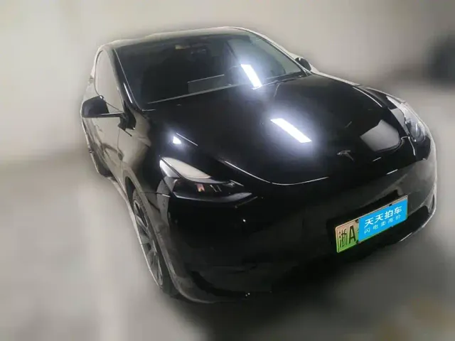 Tesla Model Y — Фото автомобиля 3