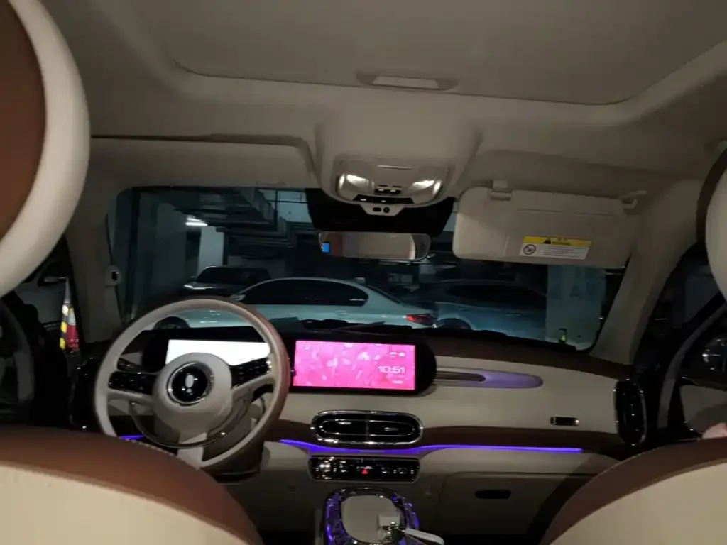 Ora Ora Ballet Cat 2022 401km Nutcracker Edition — Фото автомобиля 19