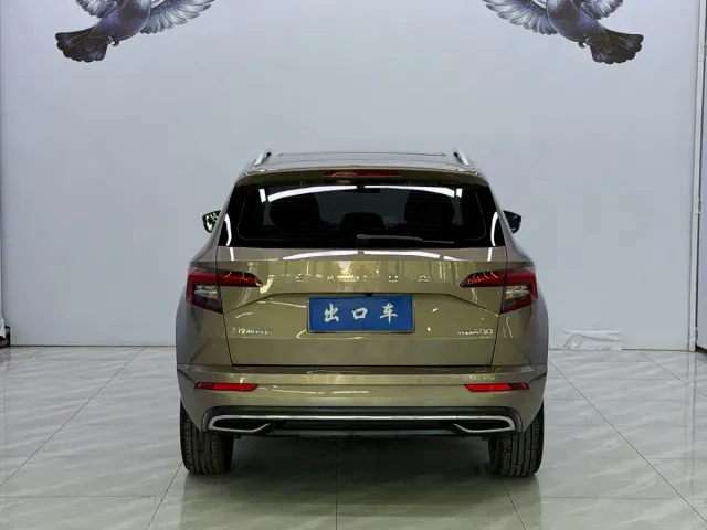 Skoda Karoq — Фото автомобиля 5