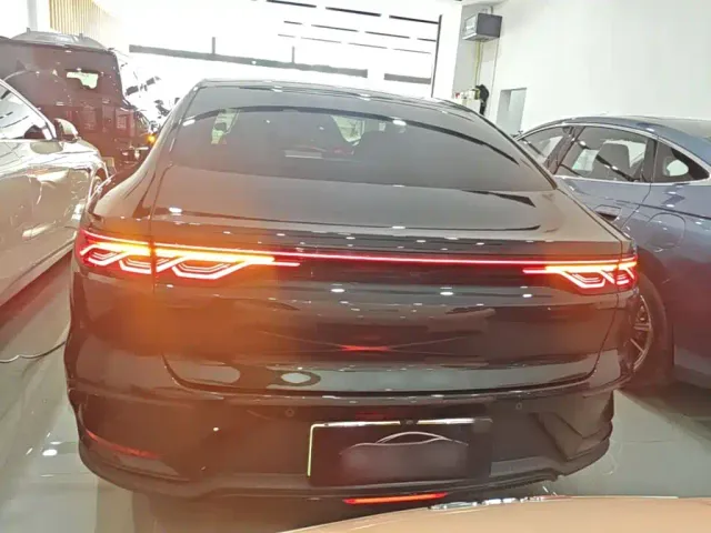 BYD Han — Фото автомобиля 5