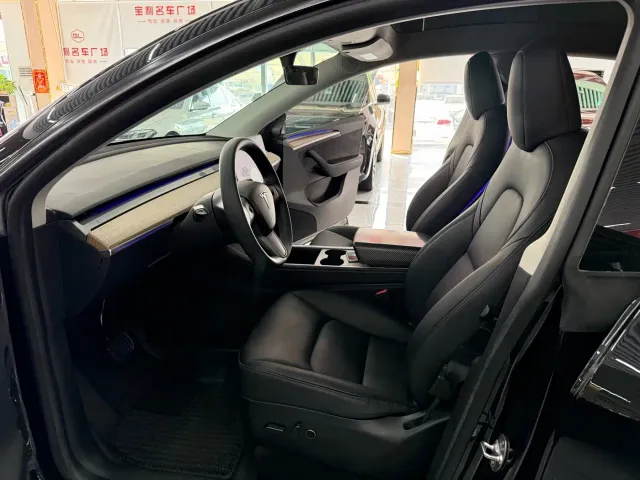 Tesla Model Y — Фото автомобиля 8