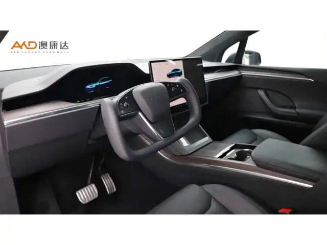 Tesla Model X — Фото автомобиля 6