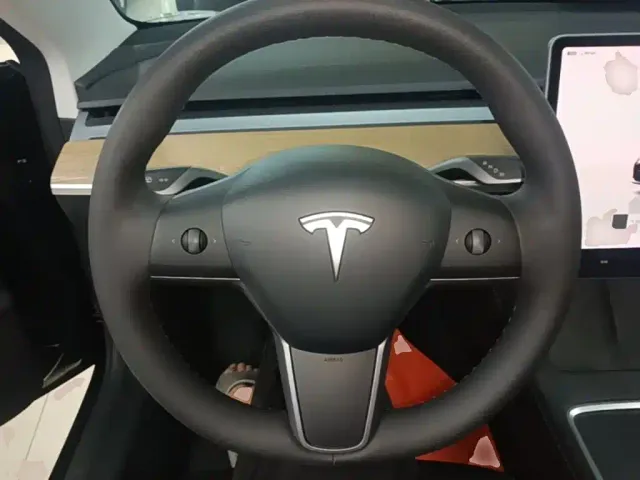 Tesla Model 3 — Фото автомобиля 10