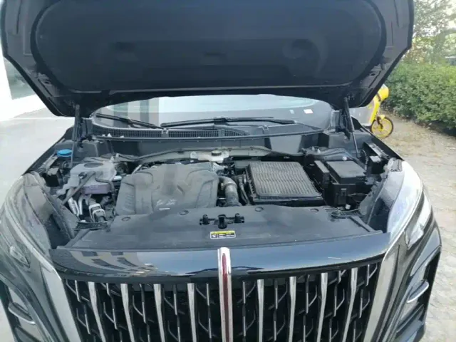 Hongqi Hongqi HS3 PHEV 2024 PHEV 115km Power Edition — Фото автомобиля 24
