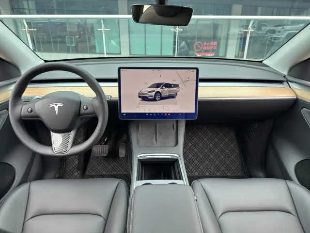 Tesla Model Y — Фото автомобиля 9