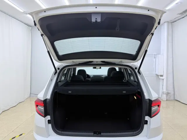 Skoda Karoq — Фото автомобиля 20
