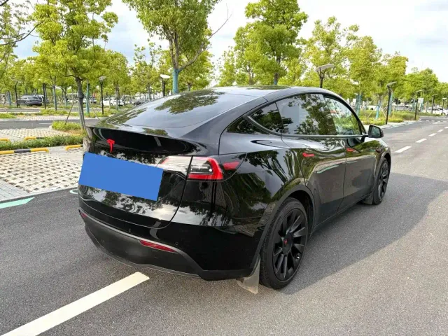 Tesla Model Y — Фото автомобиля 13