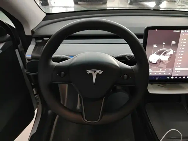 Tesla Model Y — Фото автомобиля 10