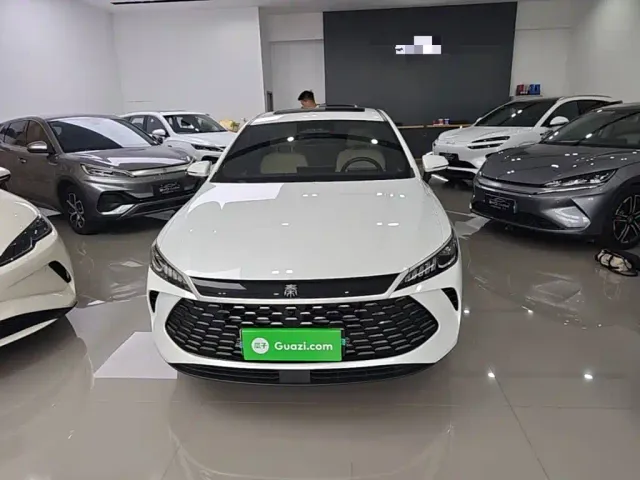 BYD Qin PLUS — Фото автомобиля 2