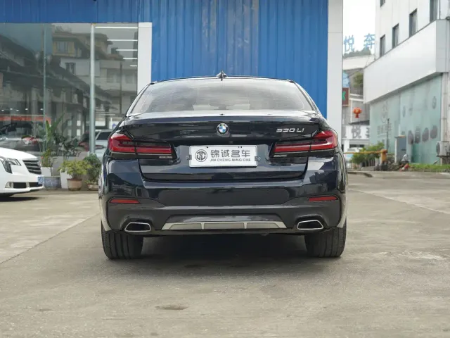 BMW 5 Series — Фото автомобиля 12