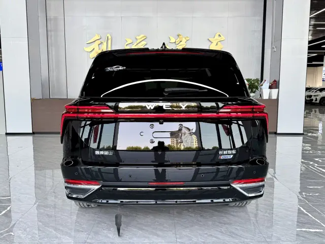 Wey Lanshan — Фото автомобиля 19