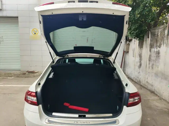 Skoda Octavia — Фото автомобиля 18