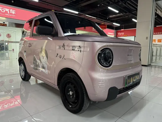 Geely Panda — Фото автомобиля 4