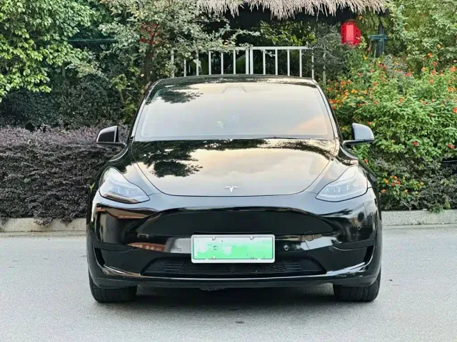 Tesla Model Y — Фото автомобиля 2