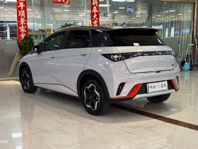 BYD Dolphin — Фото автомобиля 13