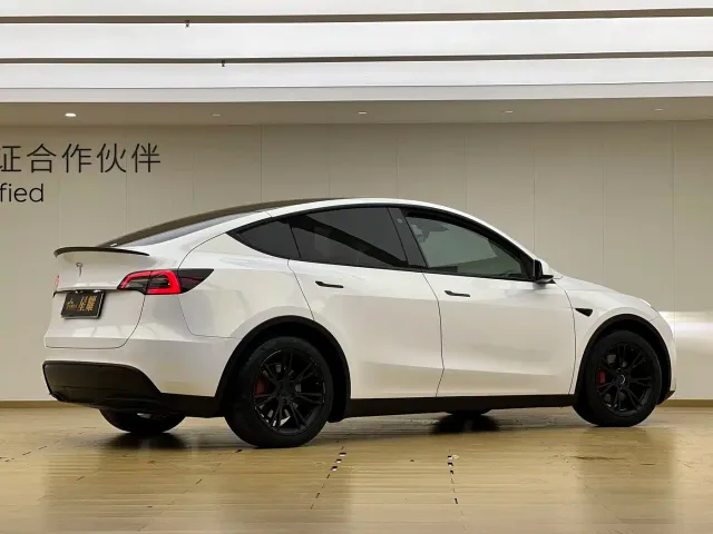 Tesla Model Y — Фото автомобиля 20