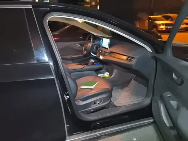 Hongqi Hongqi E-QM5 2022 431km Charging Enjoyment Edition — Фото автомобиля 19