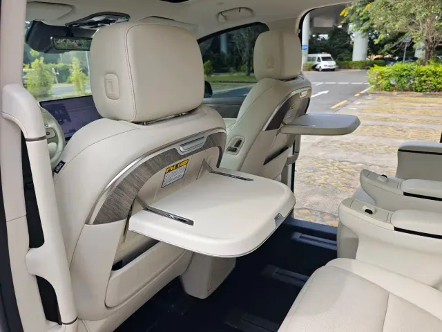 Wey Alpine — Фото автомобиля 17