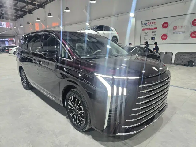 Forthing Xinghai V9 — Фото автомобиля 4