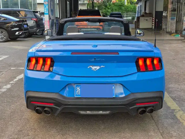 Ford Mustang — Фото автомобиля 10