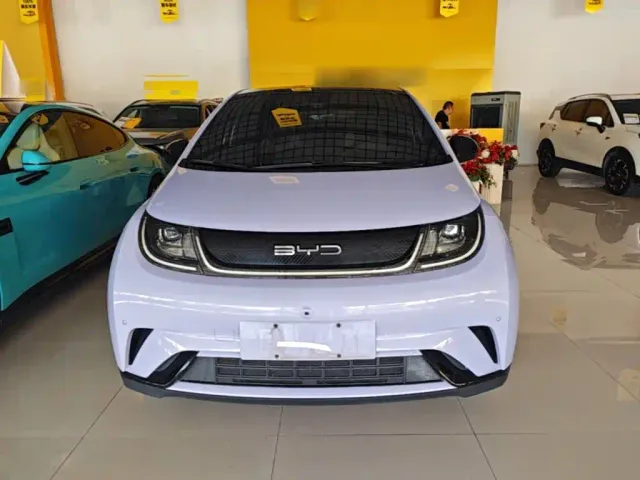 BYD Dolphin — Фото автомобиля 2