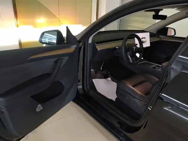 Tesla Model Y — Фото автомобиля 15