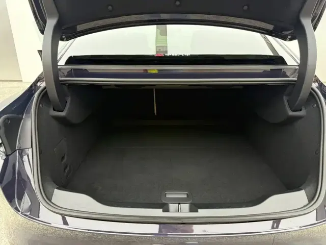 Buick Electra L7 — Фото автомобиля 6