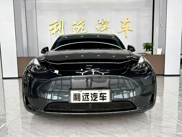 Tesla Model Y — Фото автомобиля 2