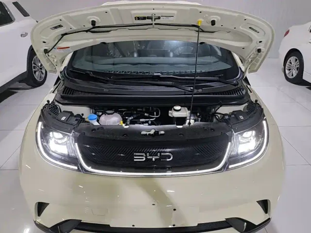 BYD Dolphin — Фото автомобиля 19