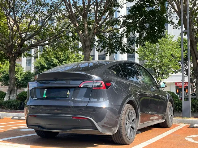 Tesla Model Y — Фото автомобиля 9