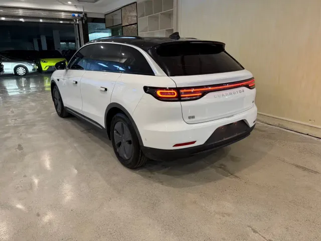 Leapmotor Leapmotor C11 2021 Luxury Edition — Фото автомобиля 7