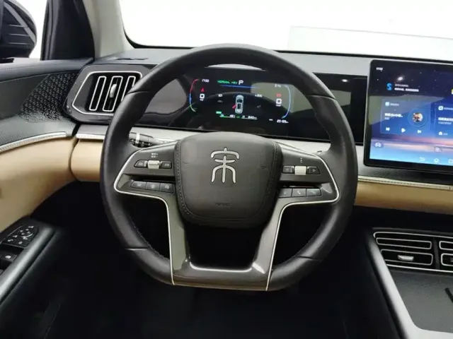 BYD Song Pro New Energy 2025 2nd Gen DM-i 75KM Surpass — Фото автомобиля 15