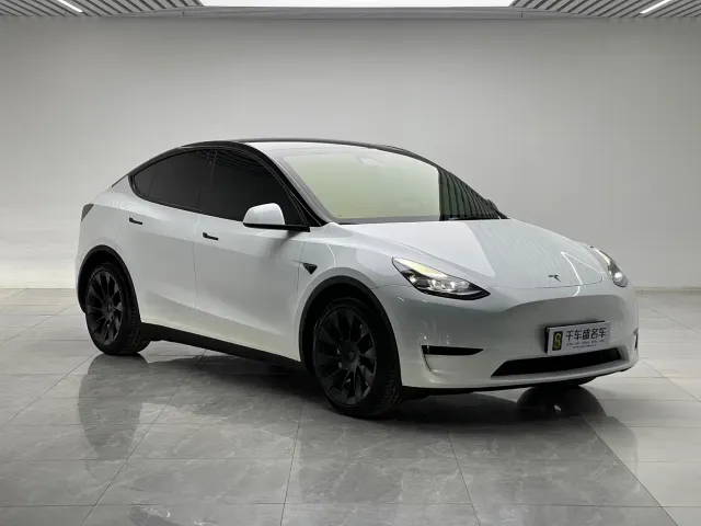 Tesla Model Y — Фото автомобиля 3