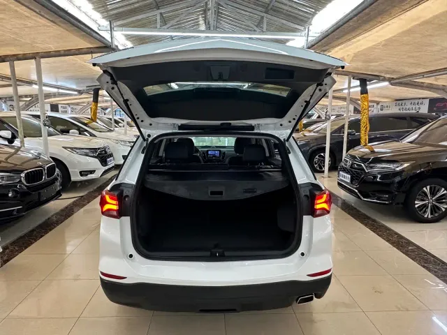Chevrolet Equinox — Фото автомобиля 10