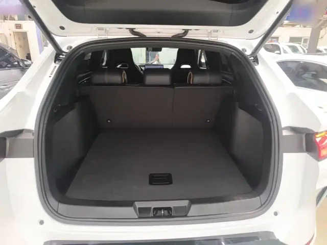 BYD Song PLUS — Фото автомобиля 14
